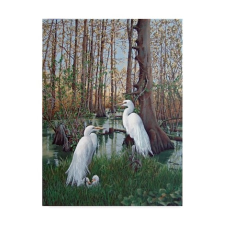 Carol J Rupp 'Snowy White Egret Nesting' Canvas Art,24x32